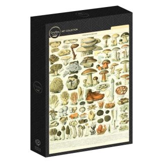 Grafika_F_33735_Larousse_illustration_Mushrooms_19th_Century_jpeg
