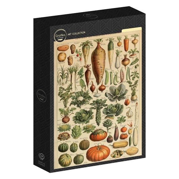 Grafika_F_33737_Illustration_from_the_Larousse_pour_Tous_Vegetables_and_Vegetable_Plants_19th_Century_jpeg