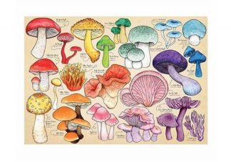 Mushroom_Mania
