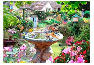 House_Of_Puzzles_HP0728_Summer_Birds_jpg
