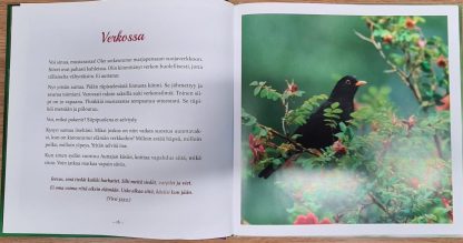 Kirkkautta elämäsi päiviin - Image 3