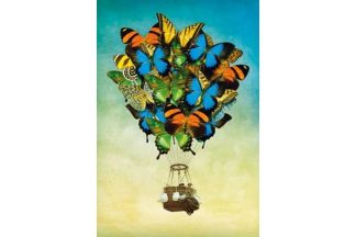 Magnolia_2304_Butterfly_Balloon_jpg