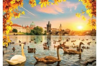 Magnolia_3504_Swans_near_Charles_Bridge_jpg