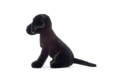 Laikka_Labradorinnoutaja