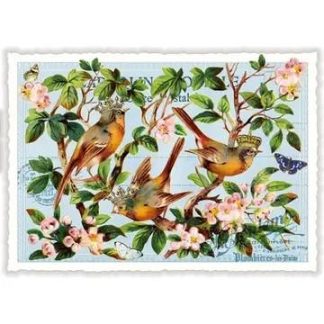 PK1063_Postikortti_Linnut_oksalla_jpg
