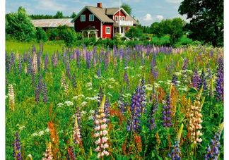 Punainen_maatalo__Puzzle_Highlight__Scandinavian_