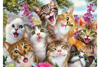 Schmidt_Spiele_58391_Cats_Selfy_Kissojen_selfie_jpg