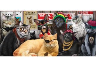 Cat_Lineup
