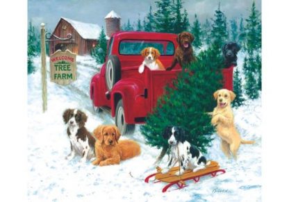 Jim_Killen___Christmas_Tree_Farm