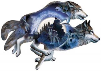 Al_Agnew___Moonlight_Warrior