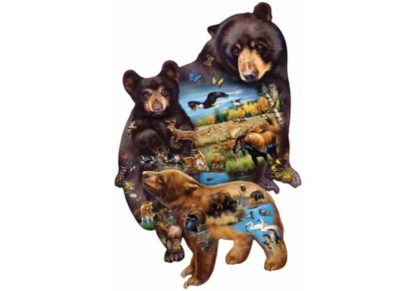 Cynthie_Fisher___Bear_Family_Adventure