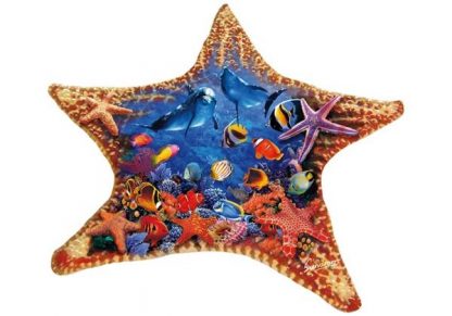Steve_Sundram___Starfish